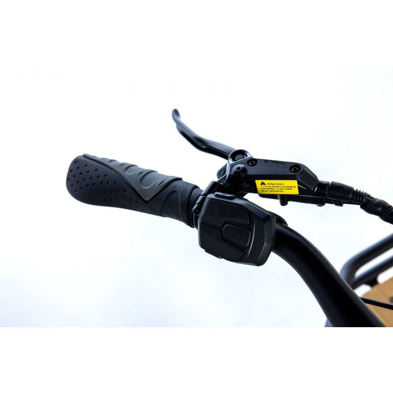 Moma Bikes E-Long Tail - Imagen 11